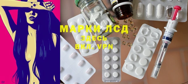 PSILOCYBIN Алзамай