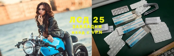 PSILOCYBIN Алзамай
