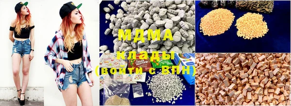 PSILOCYBIN Алзамай