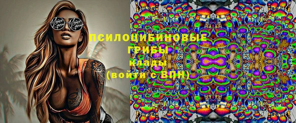 PSILOCYBIN Алзамай