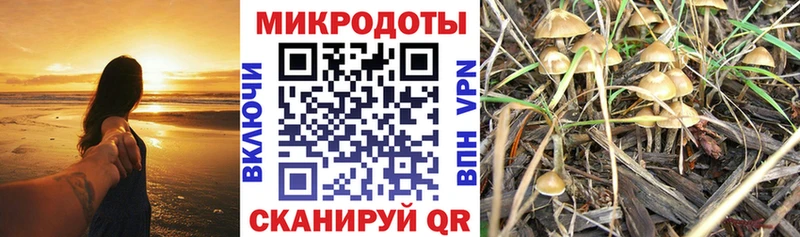 Галлюциногенные грибы GOLDEN TEACHER  Чердынь 